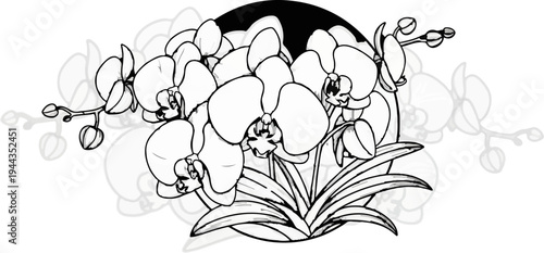 An artistic, black and white sketch of a cluster of orchids in bloom and buds