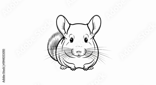 Adorable sketched rodent with large ears and bushy tail