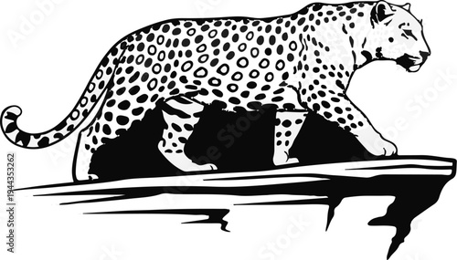 Black and white illustration of a spotted big cat walking on a rocky ledge