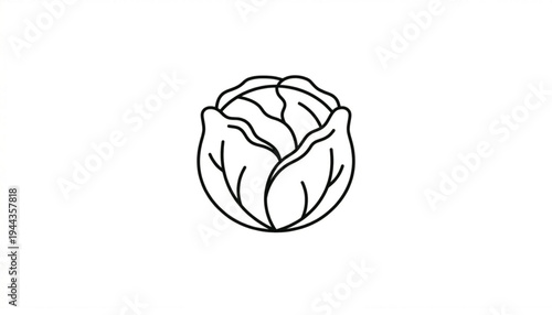 cabbage icon white background 