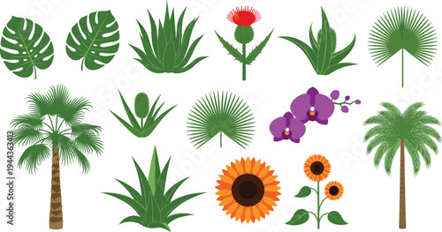 Tropical plant collection featuring palm trees monstera leaves sunflowers purple orchids and exotic desert succulents isolated on a white background vector