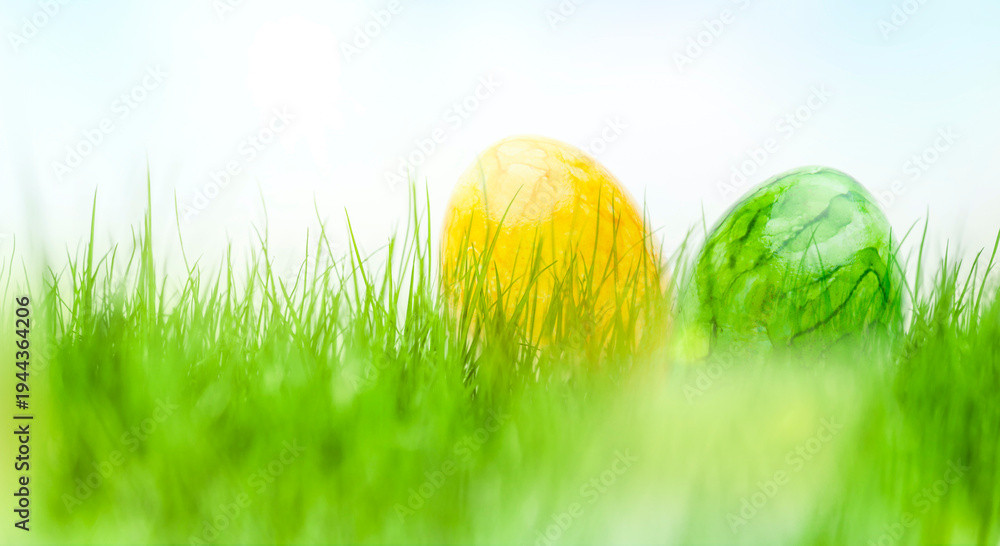 Fototapeta premium Green grass with Easter eggs against a blue background