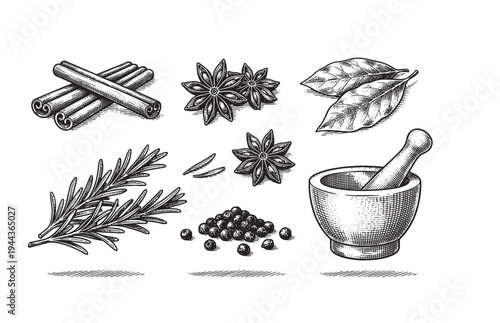 Fresh Culinary Herbs and Spices Sketch with Mortar and Pestle