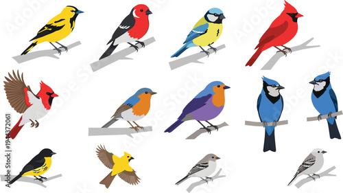 Colorful Songbird Collection Vector Set with Perched Wild Birds, Cardinal, Blue Jay, Robin and Finch Species in Clean Flat Nature Illustration Style