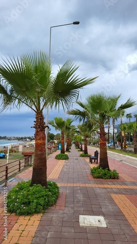 Palm Tree Promenade Along Seaside Walkway Under Stormy Sky