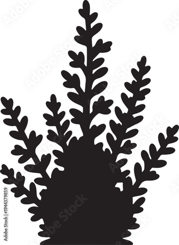 Elegant black silhouette of a fern plant with intricate leaf details and a sturdy base