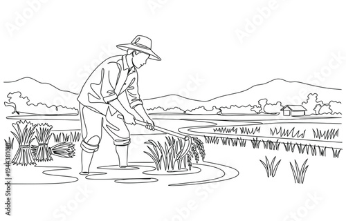 Single one line drawing of young male farmer was harvesting rice and there was also rice that had been tied up. 