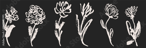 Elegant hand drawn white floral illustrations on black set. Artistic botanical sketches for boutique branding, invitation suites, and design projects.