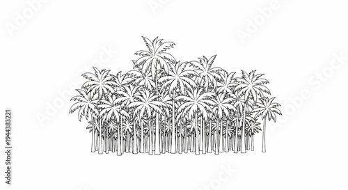Dense, stylized black and white illustration of a grove of palm trees