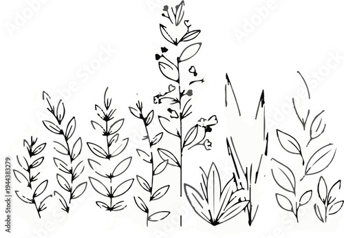 Delicate hand-drawn botanical sketch with scattered leaves and buds