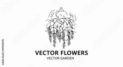 Delicate ink illustration of cascading wisteria blooms and leaves