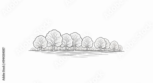 Delicate line drawing of a wooded area with bare trees and foliage