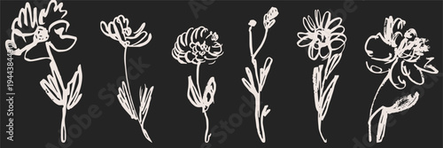 Minimalist white line floral sketches on black set. Elegant hand drawn botanicals for sophisticated stationery, logos, and creative graphic design.