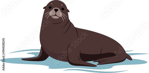 Illustration of a brown seal resting on a light blue surface, with a white background, in a frontal view, depicting a marine mammal commonly found in cold waters