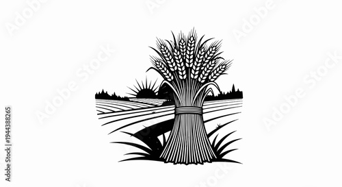 Bundle of wheat stalks in a field at sunrise