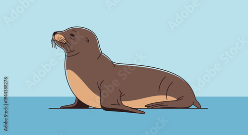 A Brown Sea Lion Lounging on a Calm Blue Surface, Illustrating Marine Wildlife and Aquatic Creatures in Their Natural Habitat