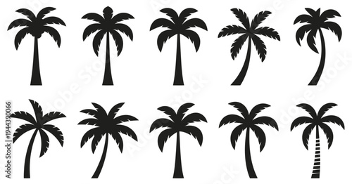 Tropical Palm Tree Silhouette Icons Black Coconut Vector