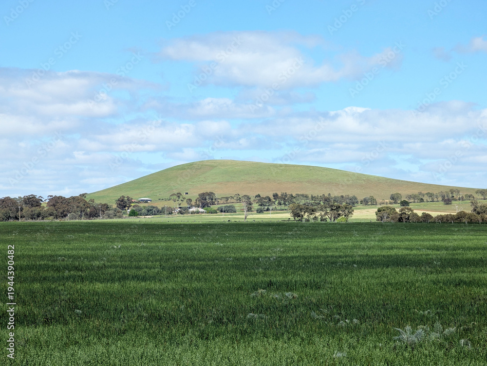 Fototapeta premium A view across the Moorlort Plains towards Bald Hill in central Victoria, Australia.