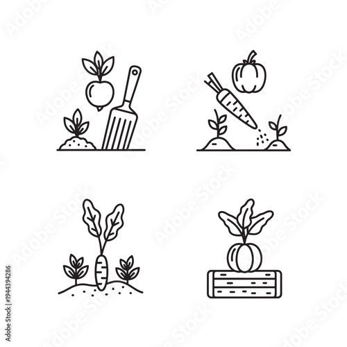Line art icons depicting various stages of gardening and harvesting root vegetables like radishes, carrots, and pumpkins, illustrating cultivation and produce.
