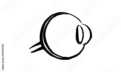 Human eye scetch