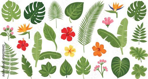 Tropical Leaves and Exotic Flowers Botanical Set Featuring Monstera, Palm, Banana Leaves, Hibiscus, and Jungle Plants for Summer, Nature, and Floral Designs