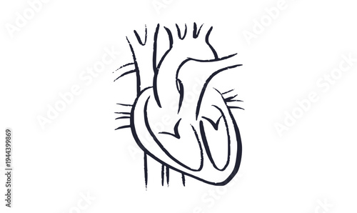 Human heart icon