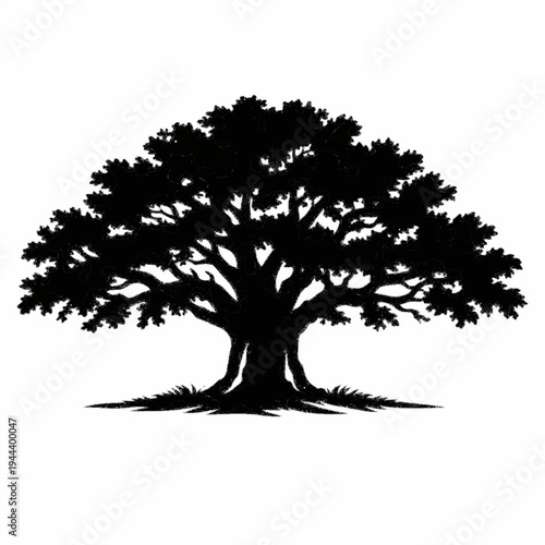 Majestic Oak Tree Silhouette Representing Strength Growth and Natural Stability