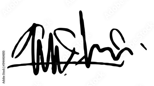 Artistic Hand Drawn Signature Illustration with Unique Ink Strokes for Personal Identity and Modern Branding.