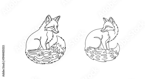 Elegant continuous one line drawing of a sitting fox with bushy tail wildlife animal nature concept in minimalist linear style isolated on white background