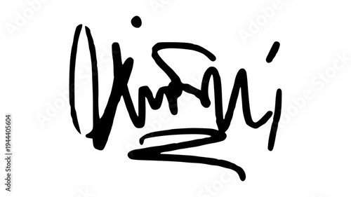 Modern Hand Drawn Signature Illustration with Fluid Ink Strokes for Professional Identity and Lifestyle Branding.