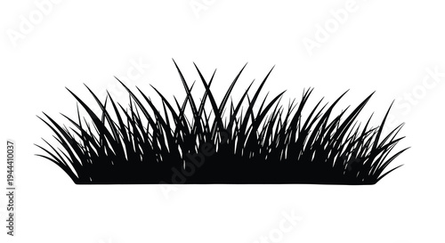 A stark black silhouette of tall grass blades against a white background creating a dramatic visual effect silhouette high quality professional