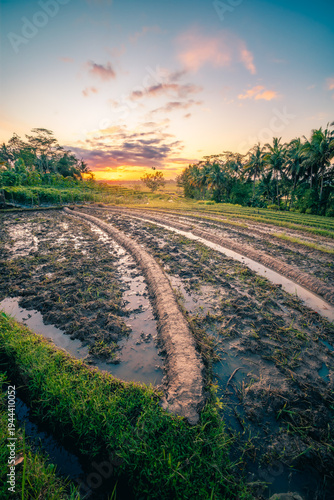 The rice field area when entering the planting season in the beautiful morning