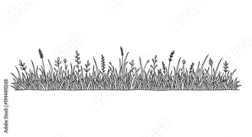 A detailed black and white sketch depicts a grassy field with varying plant heights creating a natural silhouette high quality professional