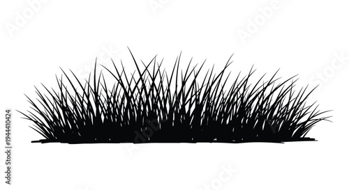 A striking black silhouette of tall dense grasses against a white background evoking a natural scene silhouette high quality professional detailed