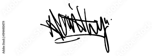 Artistic Hand Drawn Signature Illustration with Unique Fluid Ink Strokes for Personal Identity and Branding.