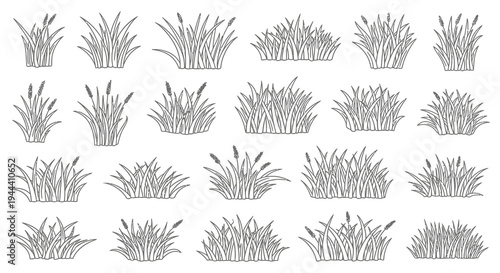 A collection of various grass and plant tufts illustrated in a stark monochromatic style silhouette high quality professional detailed modern
