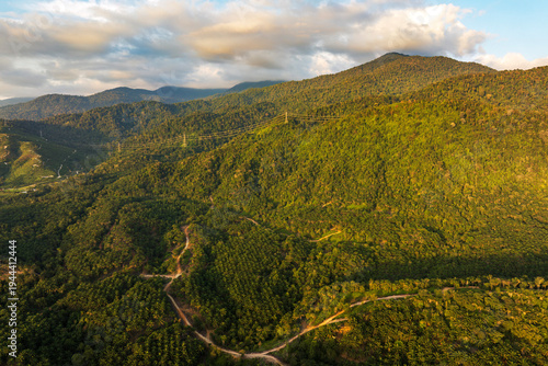 Aerial View of Winding Mountain Road Through Lush Tropical Rainforest at Sunset
