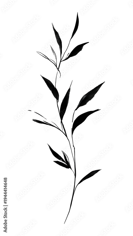 Fototapeta premium PNG Minimalist botanical ink art