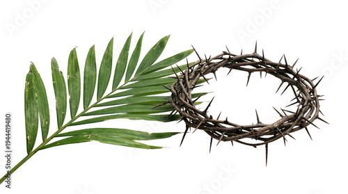 Crown of thorns paired with a green palm frond isolated on transparent background. Symbolic religious graphic for Palm Sunday, holy week suffering, and Jesus Christ resurrection holiday art.