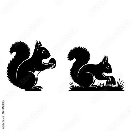 Two squirrels in contrasting poses enjoying their acorn snacks Vector, illustration