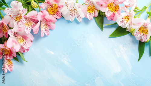 Wallpaper Mural spring flowers frame. botanical flatlay border of alstroemeria lily like flowers on blue background Torontodigital.ca