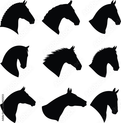 Collection of horse head silhouettes in different profiles, black equine animal vector set isolated on white background for logo, farm branding and wildlife design