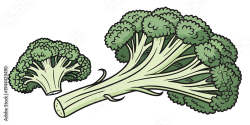 Two green broccoli florets on white background green vegetable cartoon style two florets
