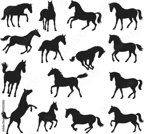 Horse silhouettes collection with running, standing, grazing and rearing poses, black equine animal vector set isolated on white background for wildlife, farm and design