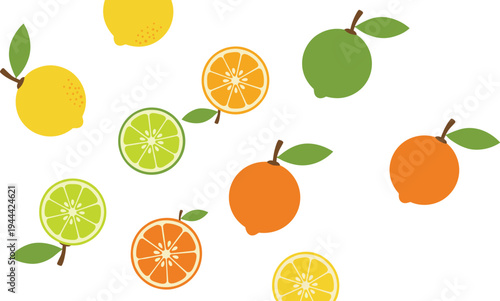 Flat vector illustration set of citrus fruits including lemons limes and oranges with whole fruit and slices isolated on white background for refreshing summer drinks organic juice and healthy food.