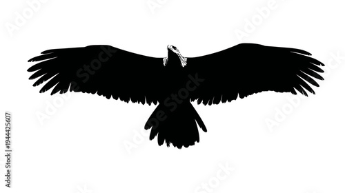 Black and white silhouette of a bird with outstretched wings against white background