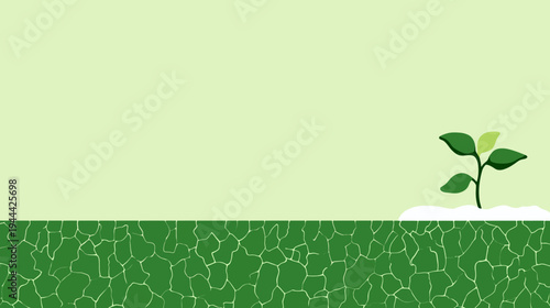 Stylized illustration of a small plant growing out of a cracked earth, light green background