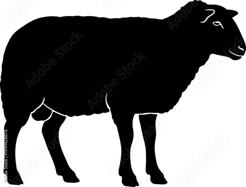 Sheep Black silhouette Vector illustration
