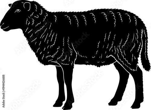 Sheep Black silhouette Vector illustration