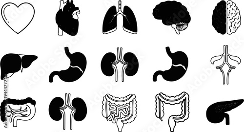 Icons of human organs including brain, lungs, heart, liver, stomach, kidneys, intestines, pancreas